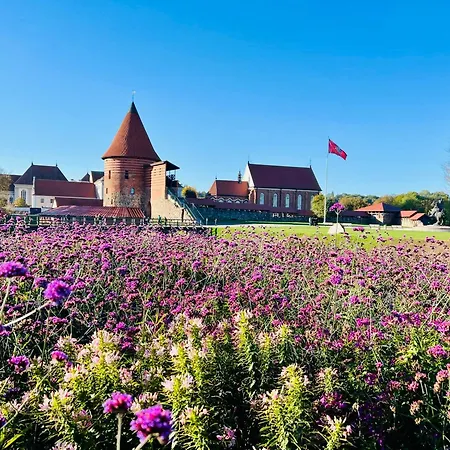 דירה Modern 1-bedroom In Downtown