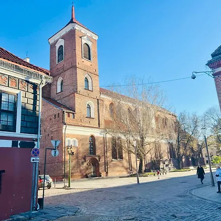 Modern 1-bedroom In Downtown Appartement Kaunas