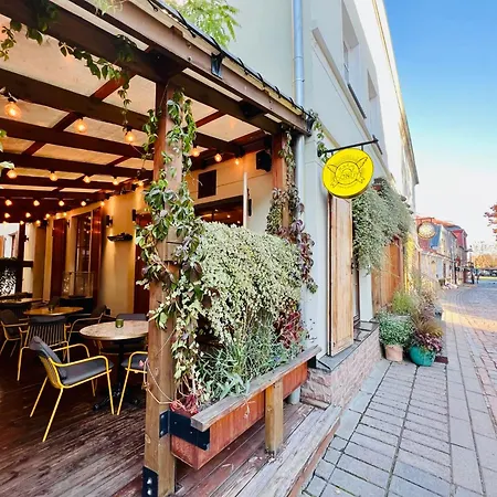 Modern 1-bedroom In Downtown Appartement *