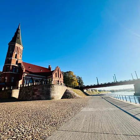 Modern 1-bedroom In Downtown