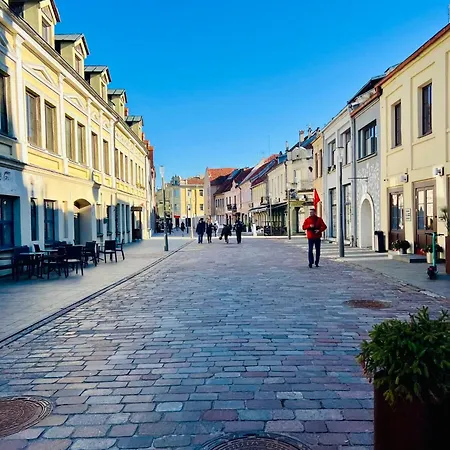 Newly Renovated 1br In Downtown Location Fast Wifi Kaunas