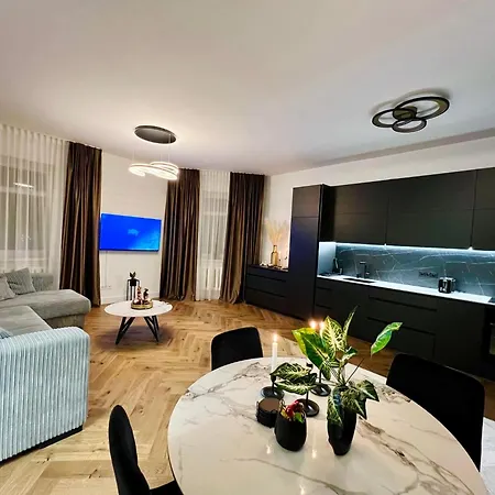 Newly Renovated 1br In Downtown Location Fast Wifi * Kaunas