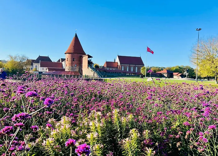 דירה Modern 1-bedroom In Downtown