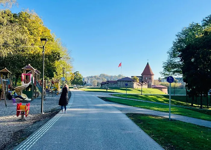 Modern 1-bedroom In Downtown קובנה