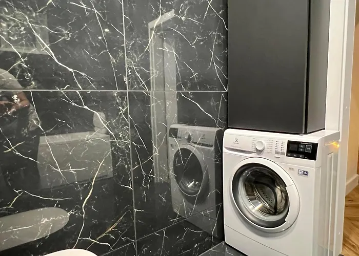 Modern 1-bedroom In Downtown קובנה